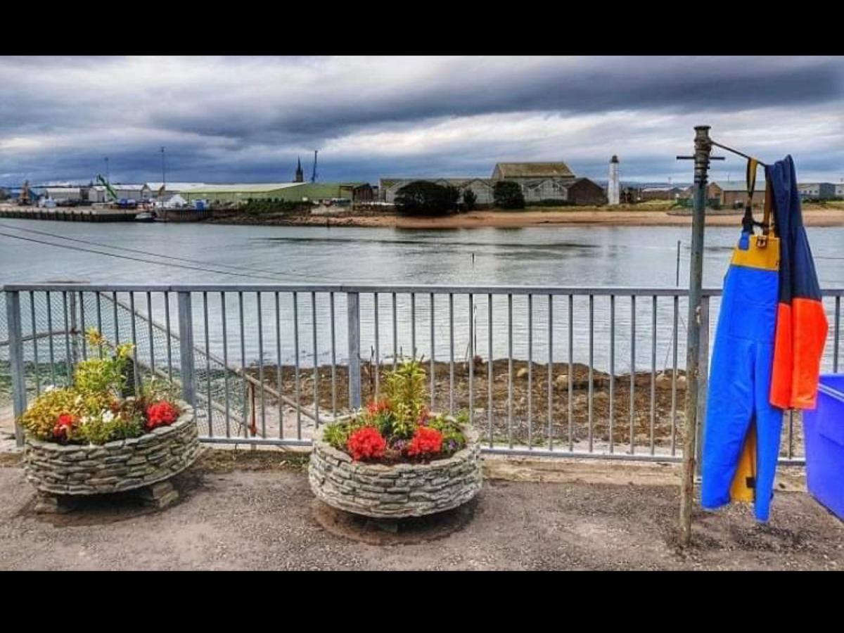 The Thin Seagull 4 Beacon Terrace Ferryden Villa Exterior photo